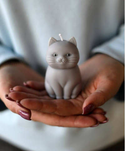 "Ты котик" свеча 1шт. - серый