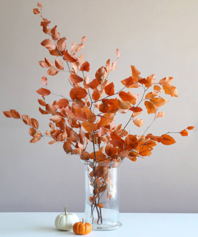 Листья бука стабилизированные, за ветку