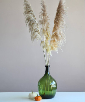 Пампасная трава и ваза-бутыль №2551