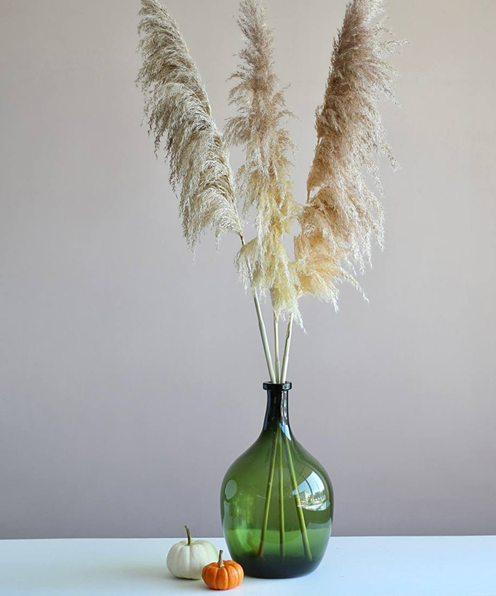 Пампасная трава и ваза-бутыль №2551