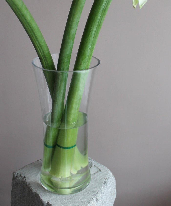 Ваза Табаска D16xH35 cм стекло 