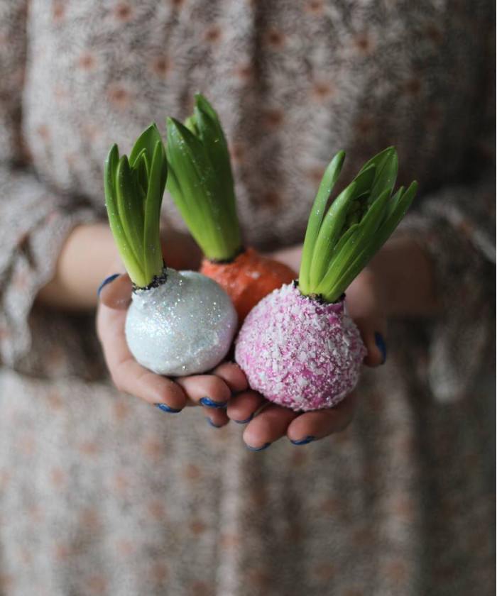 Гиацинт в воске 1шт. 