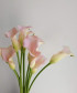 Калла Свит, нежно-розовая, поштучно
