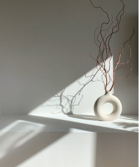 Корилус Конторта, 90 см