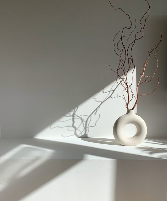 Корилус Конторта, 90 см