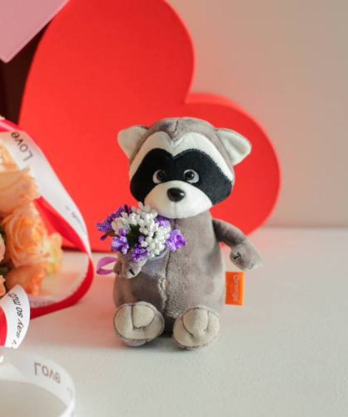 Мягкая игрушка Енотик Дэнни с букетом лаванды 15 см