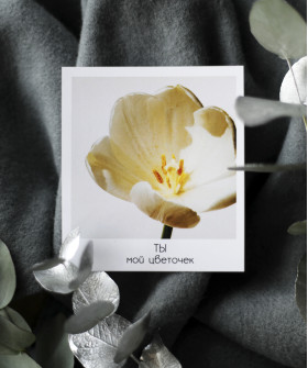 "Ты мой цветочек" открытка