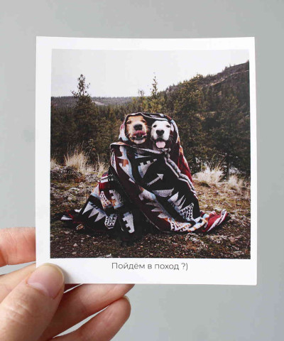 "Пойдём в поход?" открытка