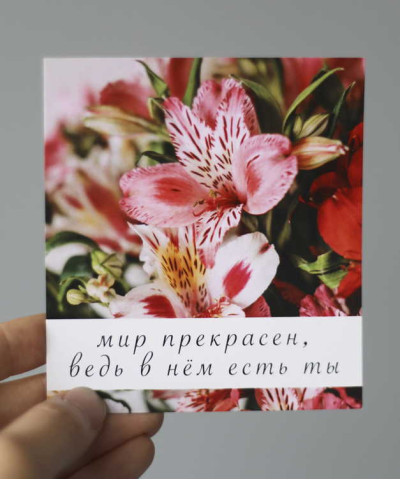 "Мир прекрасен, ведь в нём есть ты" открытка