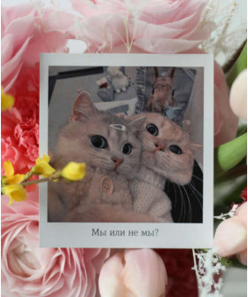 "Мы или не мы?" открытка