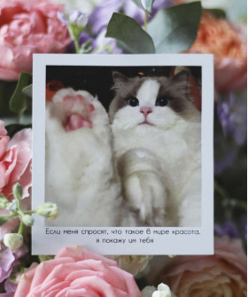 "Если меня спросят, что такое красота - я покажу им тебя", открытка