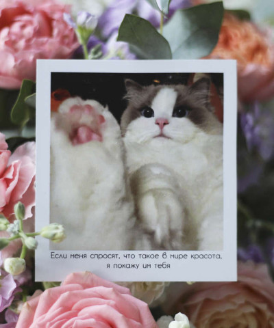 "Если меня спросят, что такое красота - я покажу им тебя", открытка