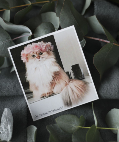 "Ты такая красивая" открытка