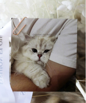 "Скучаю по тебе" открытка