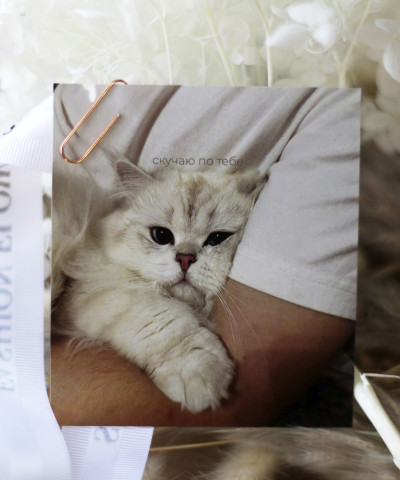 "Скучаю по тебе" открытка