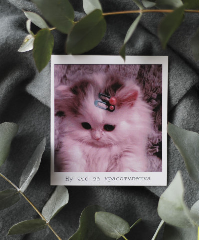 "Ну что за красотулечка" открытка