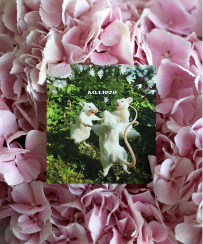 "Коллеге" открытка