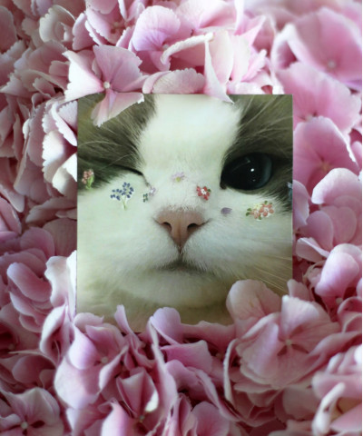 "Кошечка подмигивает" открытка