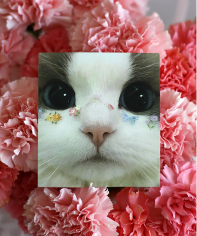 "Кошечка с цветочками" открытка