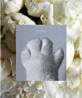 "Коте" открытка