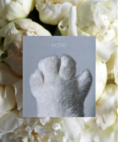 "Коте" открытка