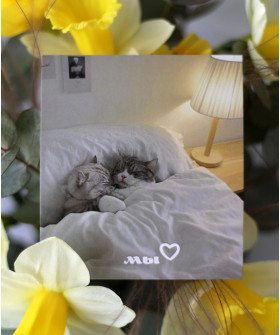 "Мы" открытка