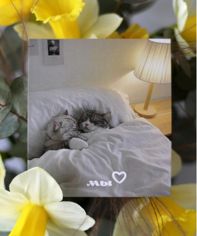 "Мы" открытка