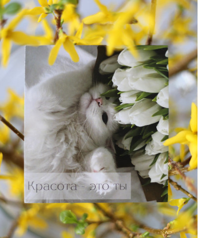 "Красота - это ты" открытка