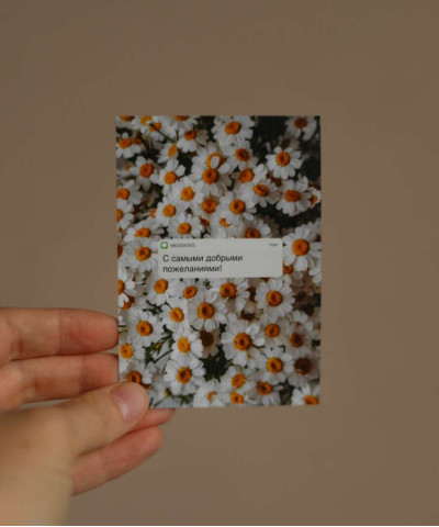 "С самыми добрыми пожеланиями!", открытка 