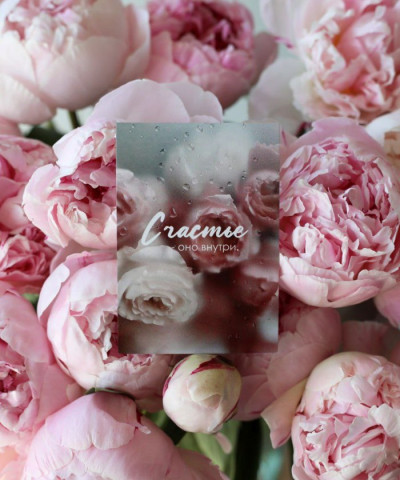 "Счастье - оно внутри" открытка