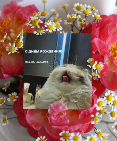 "С днём рождения! Измерь давление" открытка