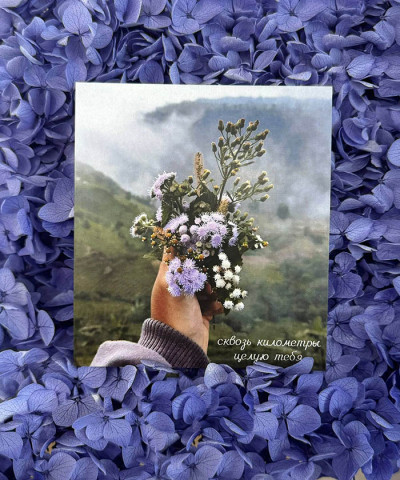 "Сквозь километры целую тебя" открытка