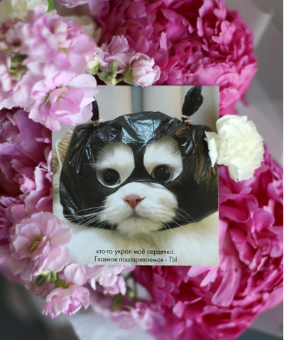 "Ты украла моё сердечко" открытка