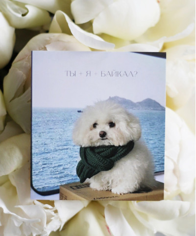 "Ты+я+Байкал" открытка