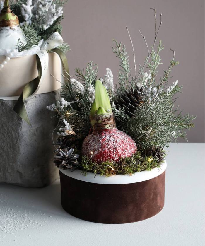 Новогодняя композиция с Амариллисом в хвое 