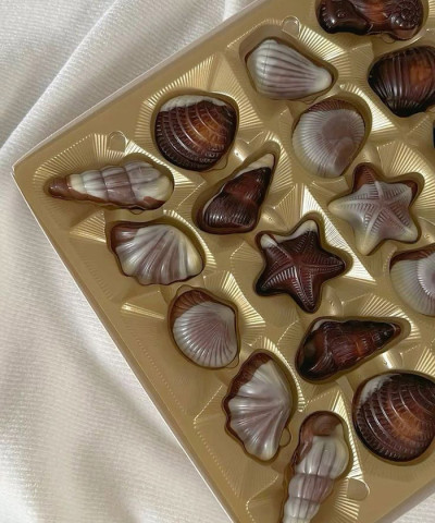 Шоколадные конфеты "The Belgian. Дары моря", 195 гр